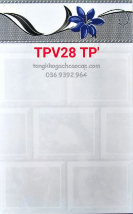 Gạch dán tường 2540 bông xanh TPV28