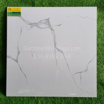 Gạch 60x60 bóng kiếng trắng tia khói cao cấp BN6601