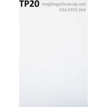 Gạch dán tường màu trắng giá rẻ 25x40 TP20