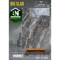Gạch khổ lớn 80x120cm bóng kiếng Việt Nam
