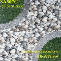Gạch lát sân cỏ ốc đẹp bình tân 50x50 SA507G Sugar