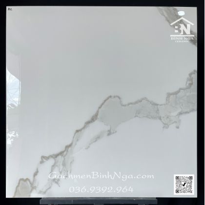 Gạch trắng vân Ấn Độ 80x80 lát nền vân tự do cao cấp 802 
