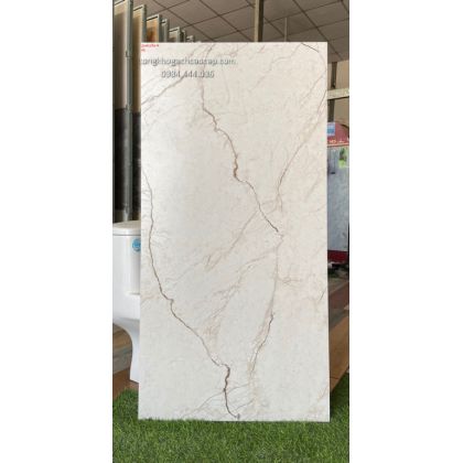 Đá bóng kiếng 60x120 nhập khẩu 