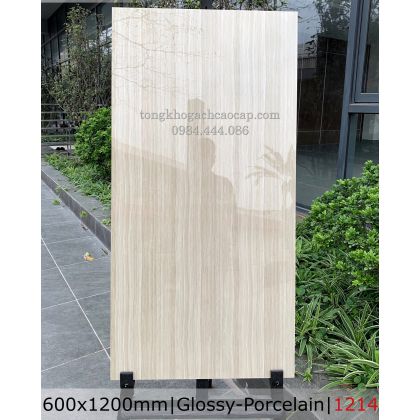 Đá bóng kiếng 60x120 cao cấp Bình Thạnh 