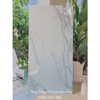 Đá bóng kiếng 60x120 cao cấp 089 2T 