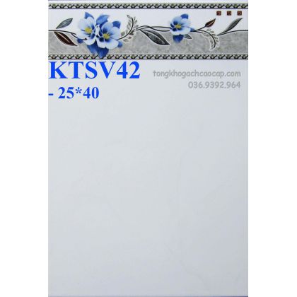 Gạch 25x40 giá rẻ Tân Chánh Hiệp  KTSV42 