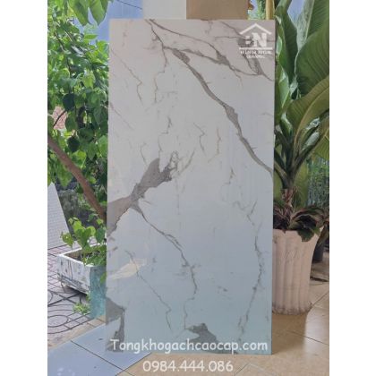 Gạch 60x120 bóng kiếng cao cấp 079 2T 