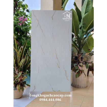 Gạch 60x120 bóng kiếng cao cấp 0882T 