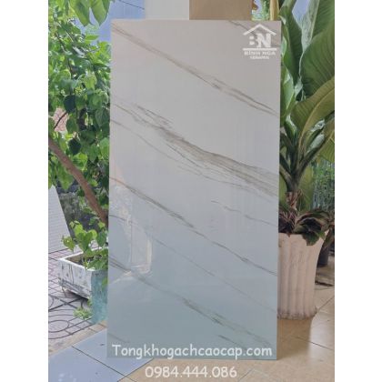 GẠch 60x120 bóng kiếng cao cấp Ấn độ 084 2T 