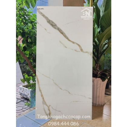 Gạch 60x120 bóng kiếng cao cấp Ấn độ PH02 