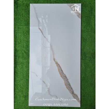 Gạch 60x120 bóng kính cao cấp vân marble đậm Ấn độ 