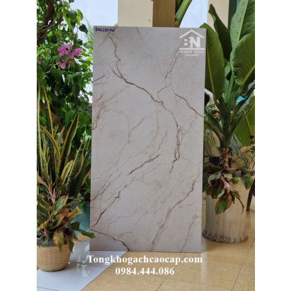 Gạch 60x120 mờ matt cao cấp vân đá 