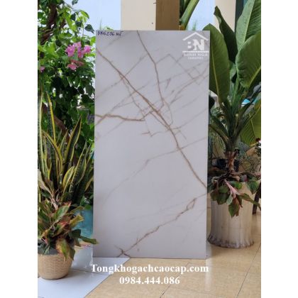 Gạch 60x120 mờ nhám trắng vân vàng 