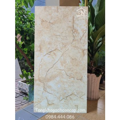Gạch bóng kiếng 60x120 khắc kim cao cấp HL12005 