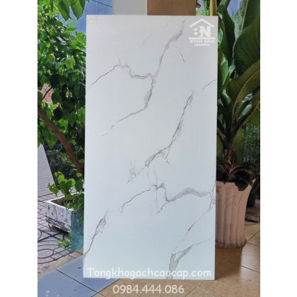 Gạch bóng kiếng 60x120 cao cấp HL12661 