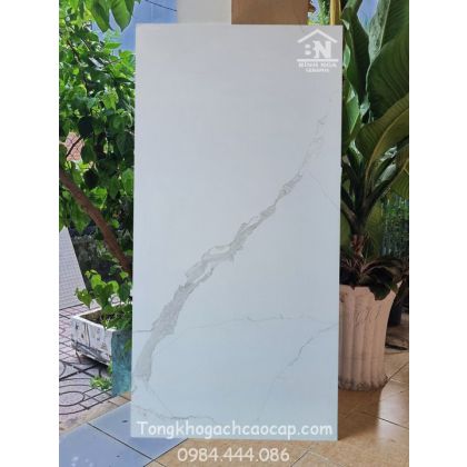Gạch bóng kiếng 60x120 cao cấp HL1266158 