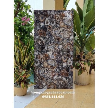 Gạch bóng kiếng 60x120 cao cấp mới lạ 