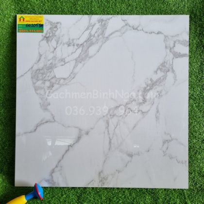 Gạch bóng kiếng trắng xám mới 60x60 CMC 66205 