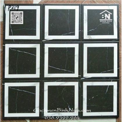 Gạch bông lót sảnh đen tia sét 20x20 cao cấp P219 