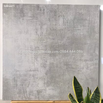 Gạch đá mờ xám nhạt 60x60 nhập khẩu Ấn Độ 123TT 