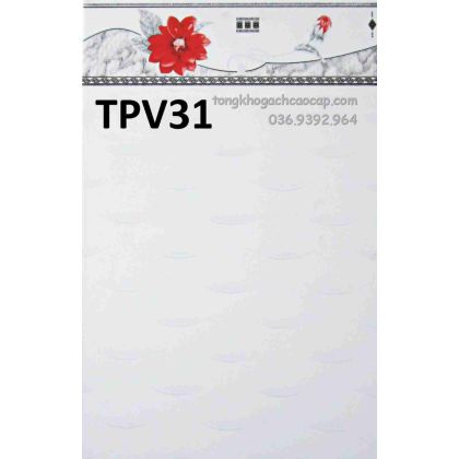 Gạch dán tường 25x40 giá rẻ Trường Chinh TPV31 