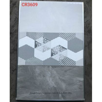 Gạch dán tường 30x60 men bóng xám xi măng CR3609 