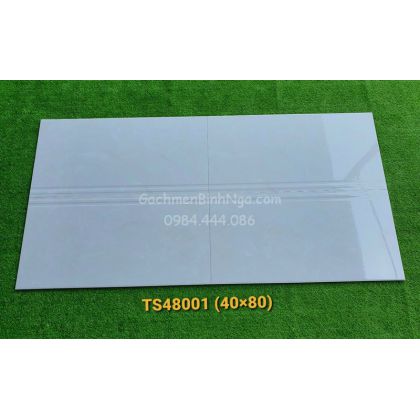 Gạch dán tường 40x80 nhấn rãnh TS48001 