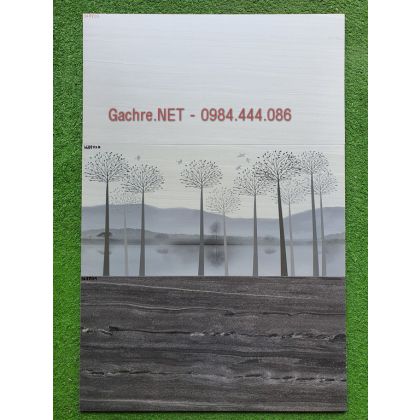 Bộ ốp tường 30x60 FS368804 đá mờ 