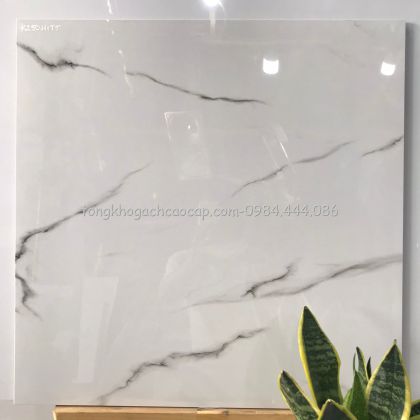 Gạch trắng vân mây bóng kiếng ấn độ 111TT 