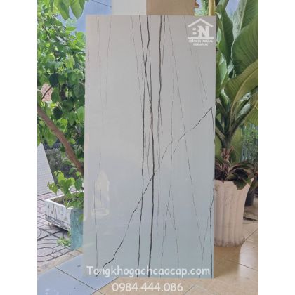 Mẫu gạch 60x120 bóng kiếng cao cấp 100 2T 