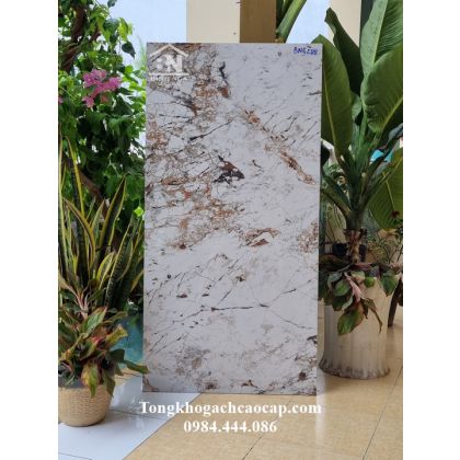 Mẫu gạch 60x120 bóng kiếng trắng vân đẹp 