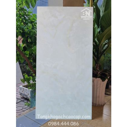 Mẫu gạch 60x120 bóng kiếng cao cấp HL1206 DC 