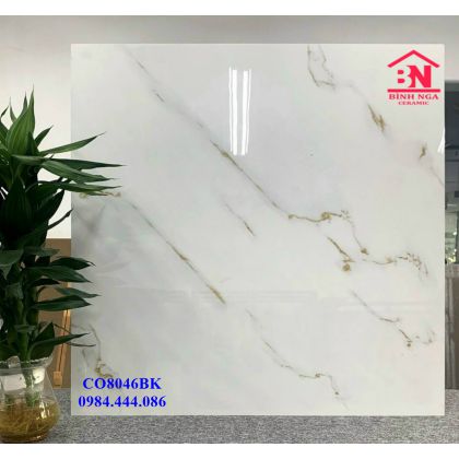 Mẫu gạch 80x80 mới nhất Catalan 8046 