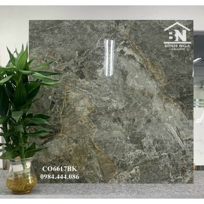 Mẫu gạch bóng kiếng 60x60 Catalan 6617 