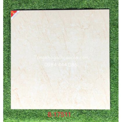 Mẫu gạch lát nền cao cấp vân marble 80x80  