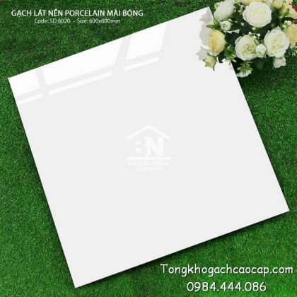 Mẫu gạch bóng kiếng màu trắng ít vân SD6020 