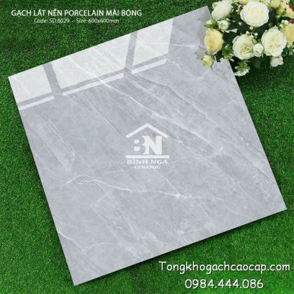 Mẫu gạch màu xám bóng kính 60x60 vân đá SD6029 