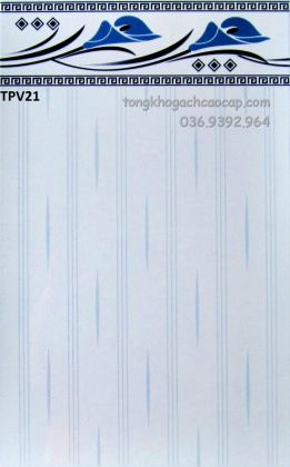 Gạch 25x40 giá rẻ Trung Lập Thượng TPV21