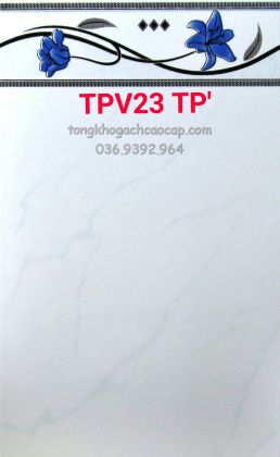 Gạch dán tường giá rẻ nhất Tân An Hội TPV23