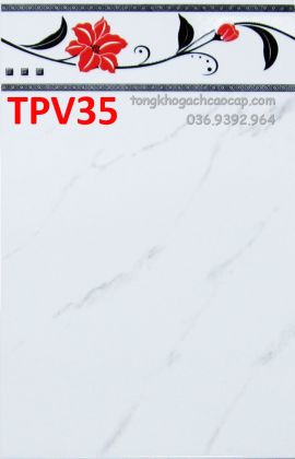 Gạch rẻ dán tường 25x40 TPV35