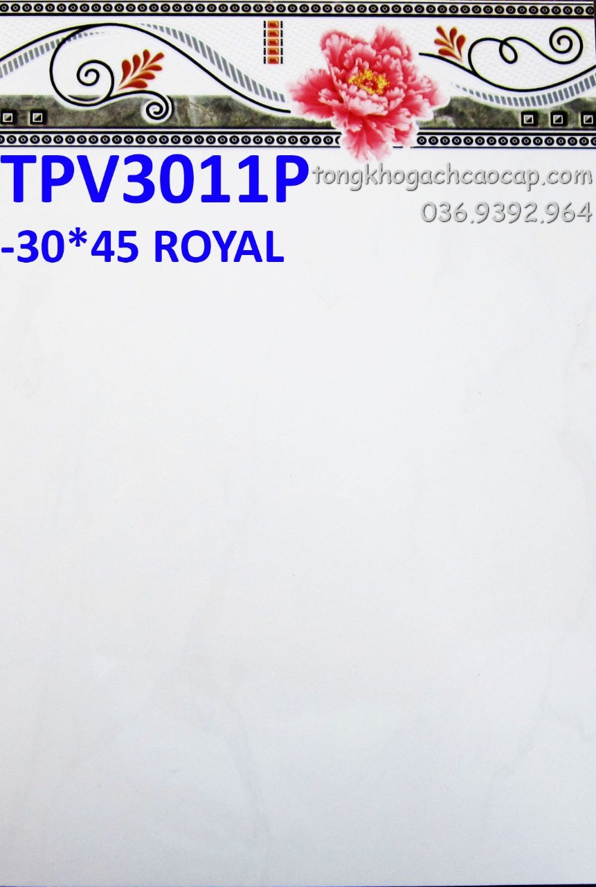Gạch 3045 thanh lý giá rẻ TPV3011P