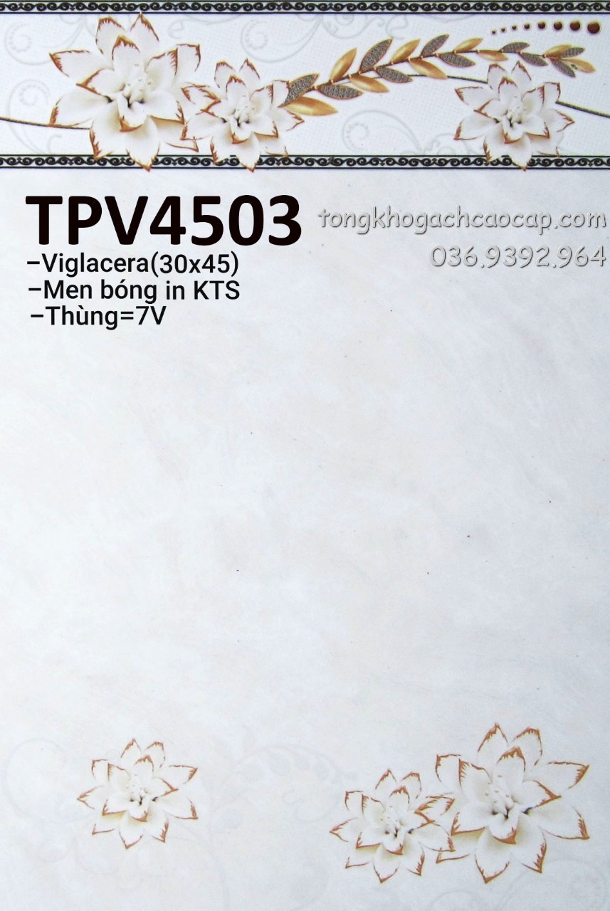 Gạch 30x45 đẹp giá rẻ Bàu Tre TPV4503