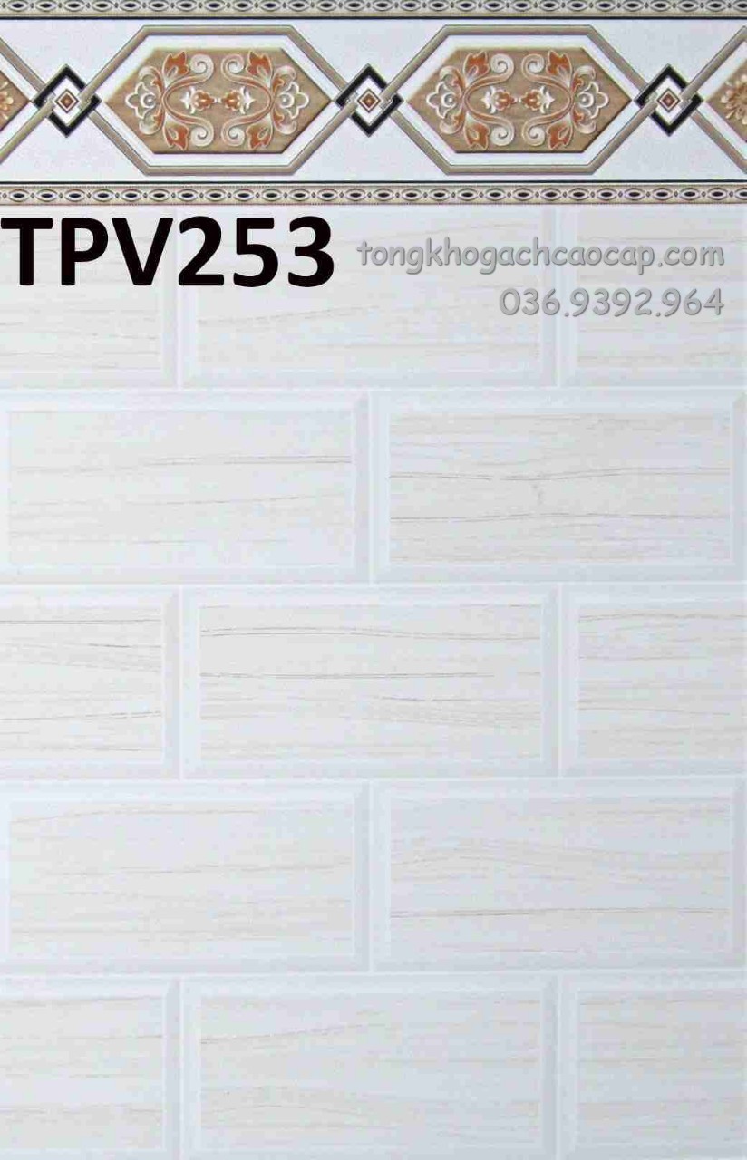 Gạch dán tường 25x40 mẫu mới đẹp TPV253