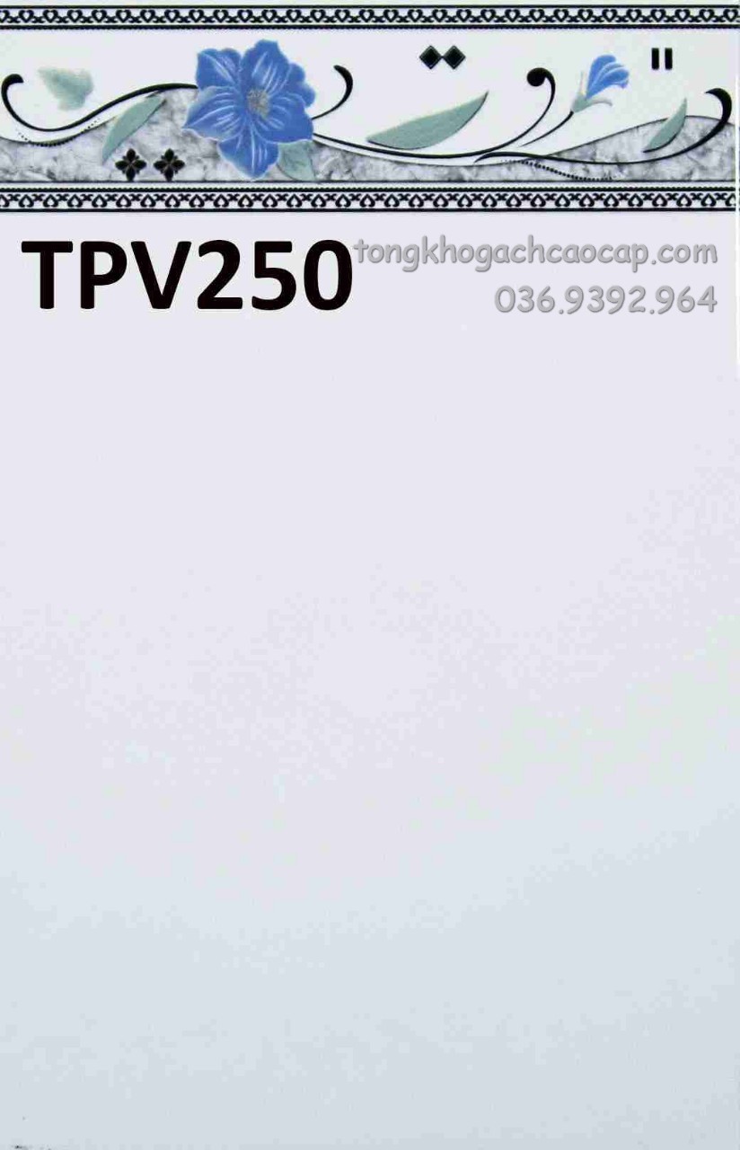 Gạch dán tường rẻ 25x40 TPV250